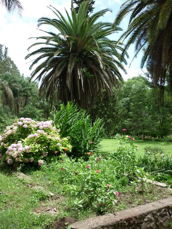 Finca La Colorada San Salvador de Jujuy Buitenkant foto