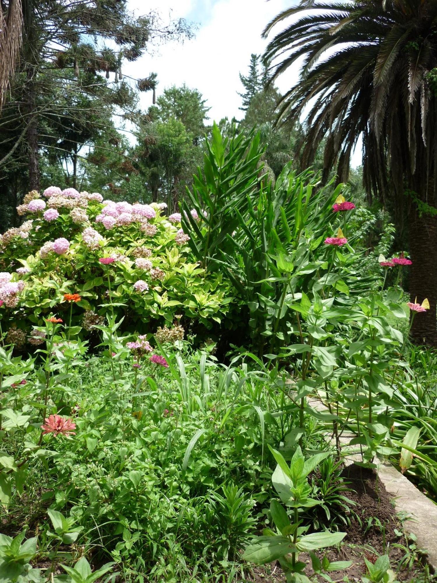 Finca La Colorada San Salvador de Jujuy Kamer foto
